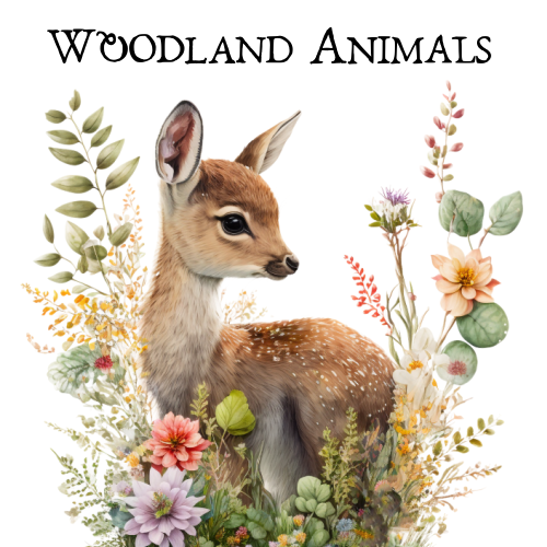 Woodland Forest Animals