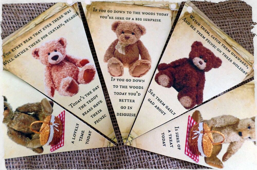 Teddy Bear's Picnic' Party Bunting/Banner with Organza Ribbon - 3m
