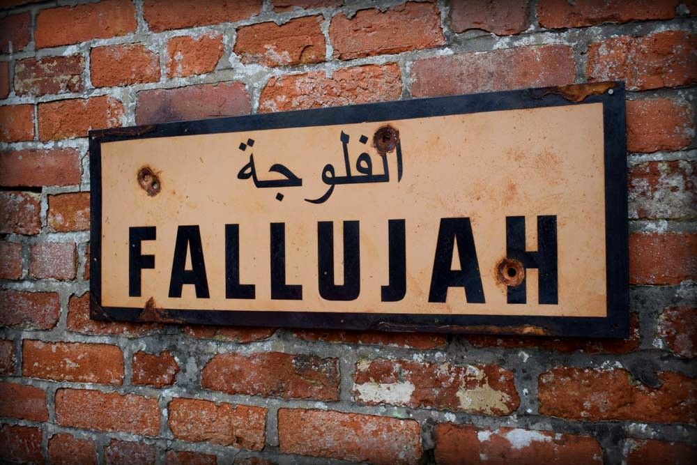 Fallujah (4)