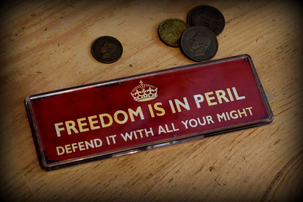 Freedom Is In Peril Fridge Magnet