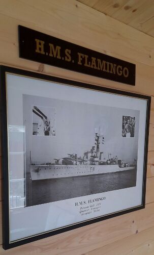 DP-HMS FLAMINGO-2