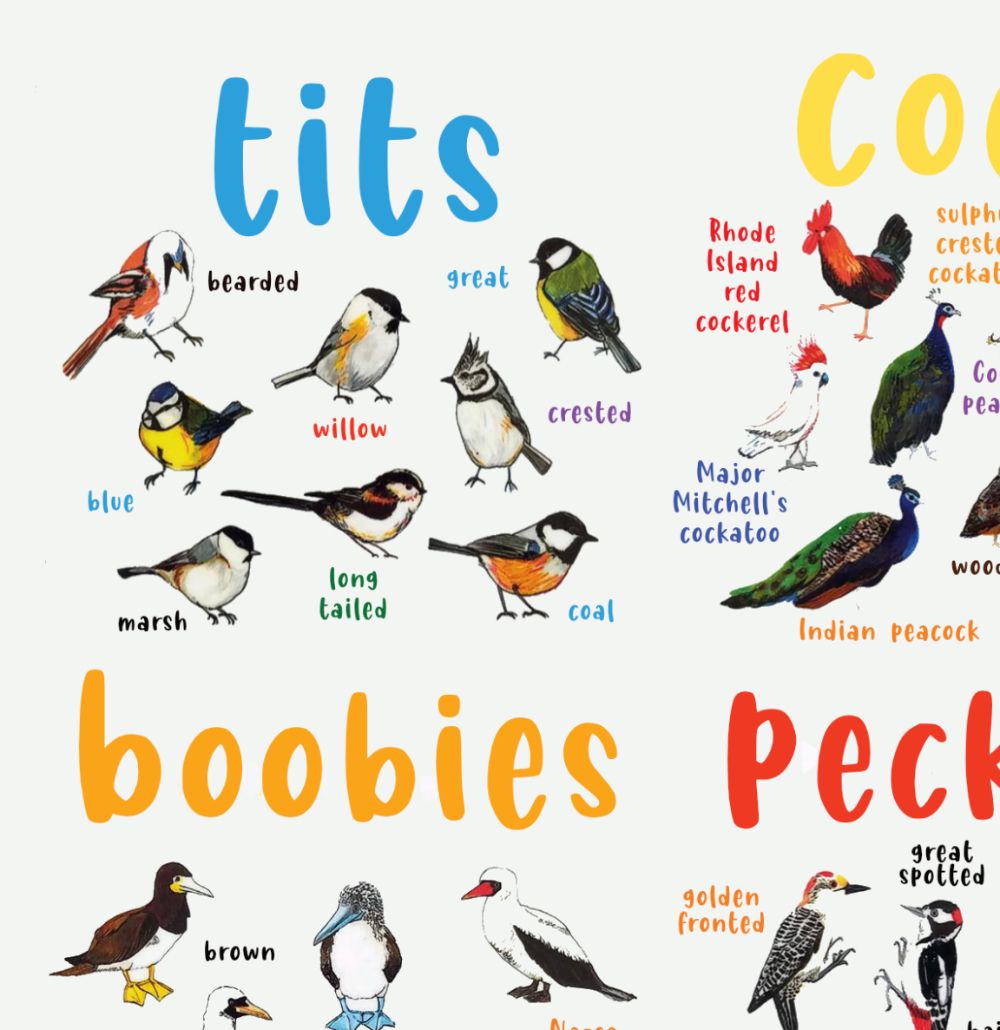 PSTR-tits cocks boobies and shags2-1k