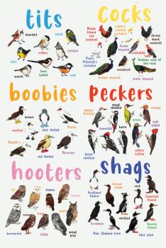 Tits, Boobies and Peckers A2 Poster