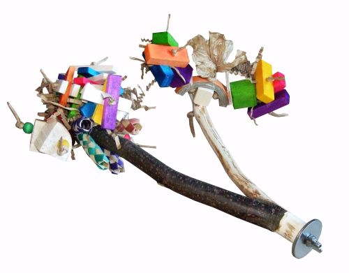 Elmo, Forked Toy Perch for Small to Medium Birds