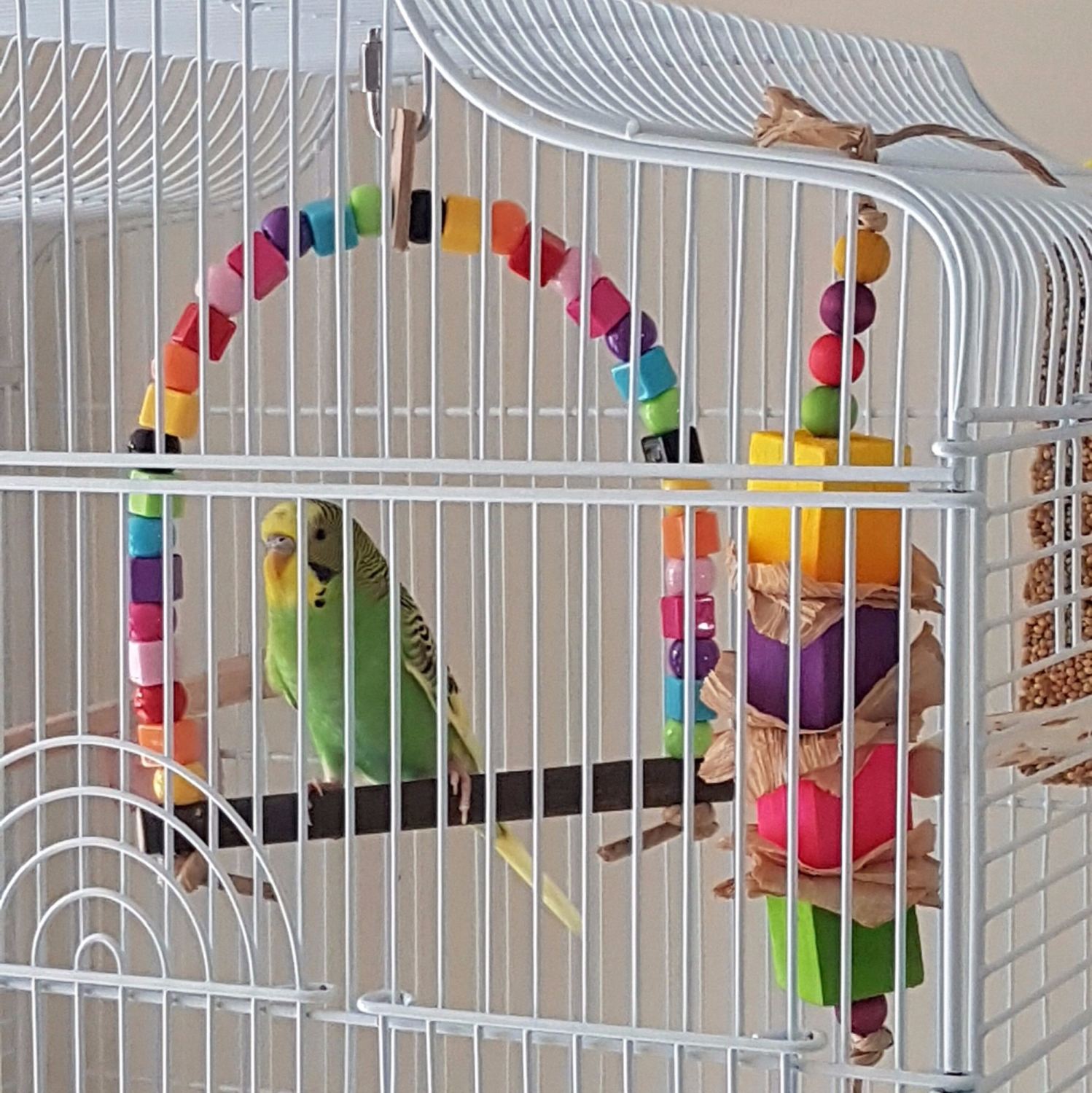 Budgie swing, The Ikkle Big One safe budgie swing toy without metal