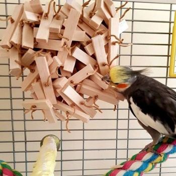 Natural shredding toys for budgies-Logan