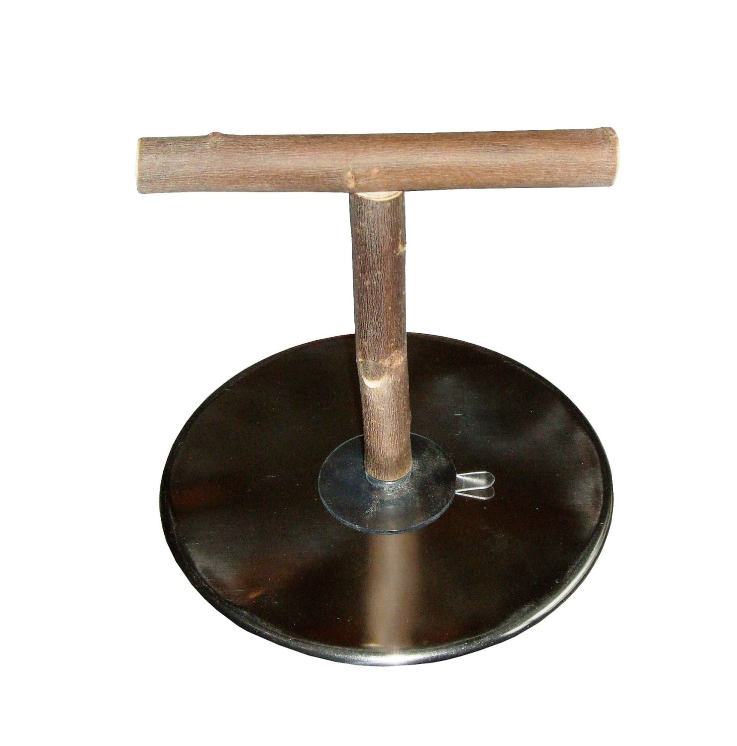 Parrot Weighing Perch with suction pad
