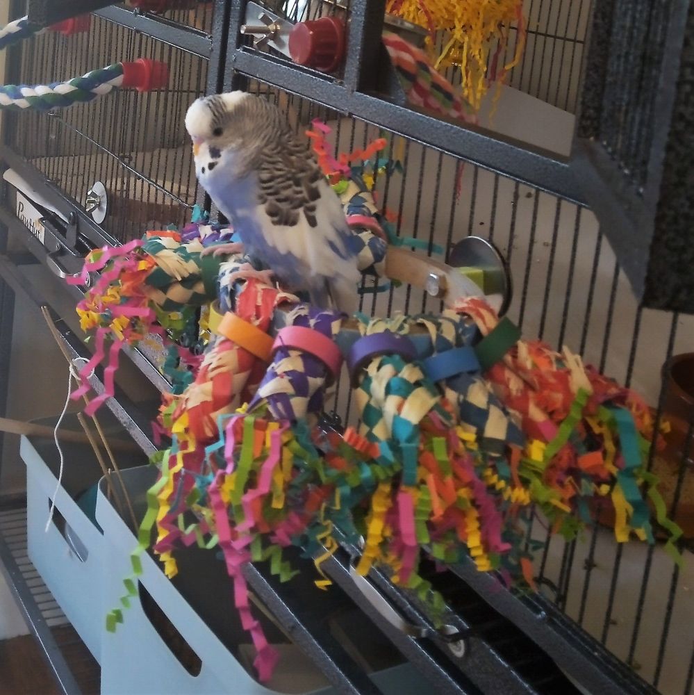 Shredding toy for parrots full of easy to shred favourites, Starburst