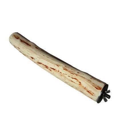 Birch Wood Perch for Large Parrots