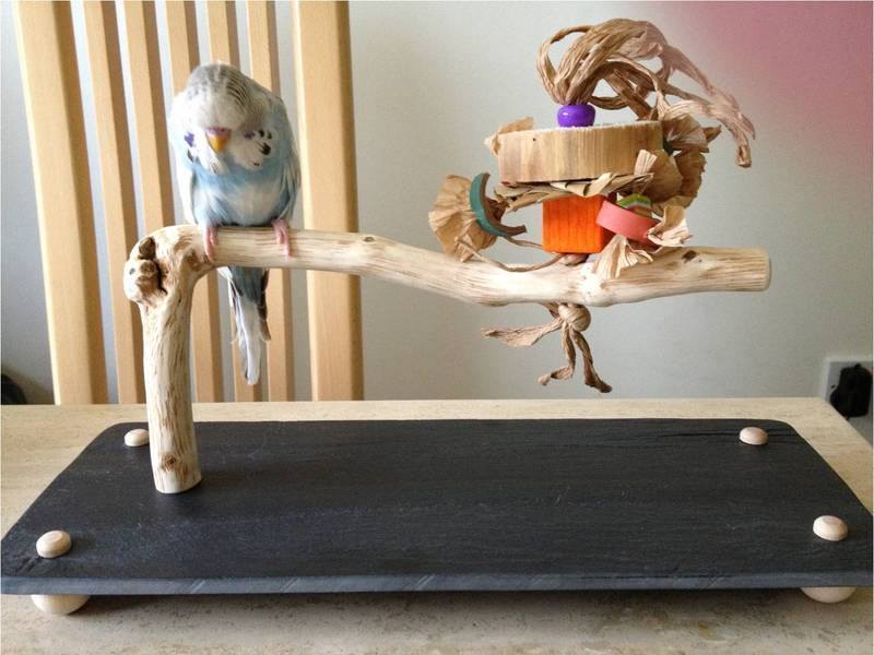 thumbnail image 2 of Bird Toys, Bird Perch Wooden Training Stand Natural With Cotton Rope 2 of 14