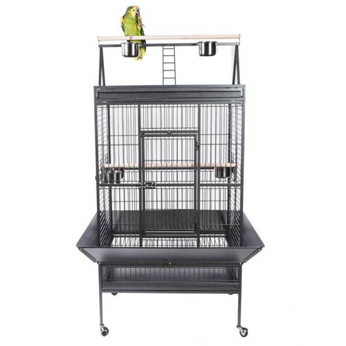 Skyline Niagra Play Top Full Length Perches for Amazons & Greys