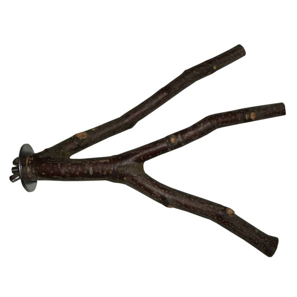 Natural multistemmed bird perches in beech, stainless steel fixings, budgies, cockatiel perches
