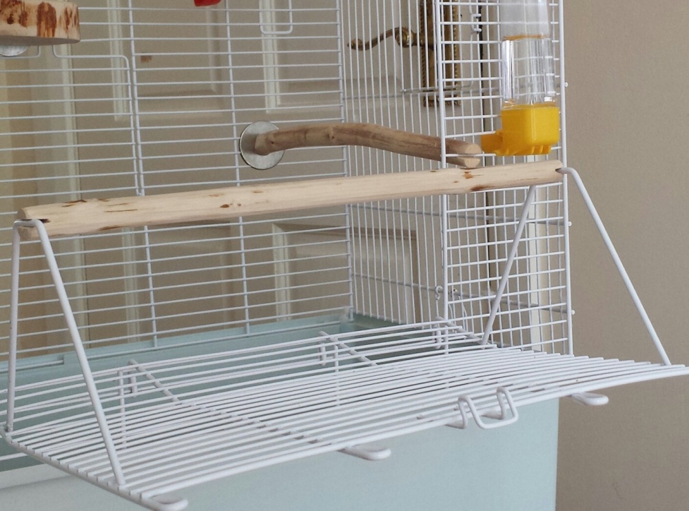 Ferplast ibiza open bird cage discount