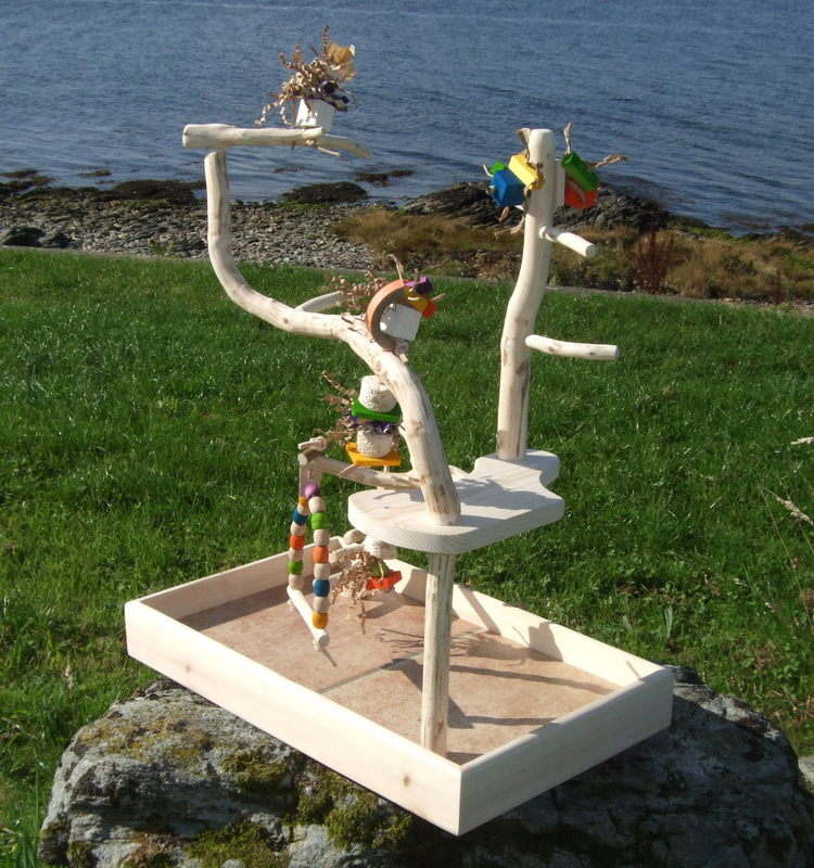 Budgie Play Stand 2024 fidsexcellence.tn