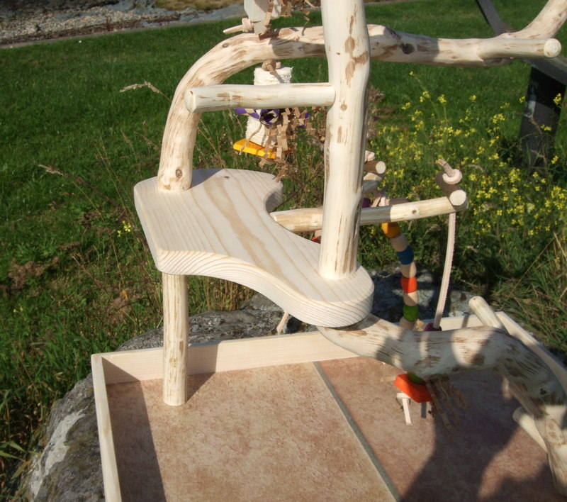 Unique Budgie Play Gyms and Table Top Play Stands