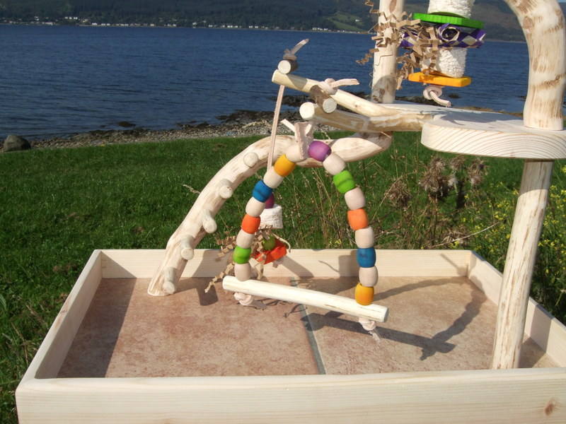 Unique Budgie Play Gyms and Table Top Play Stands