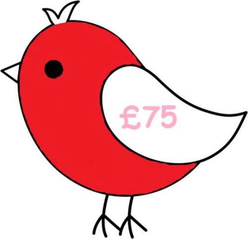£75 Gift Voucher for all Things Birdie
