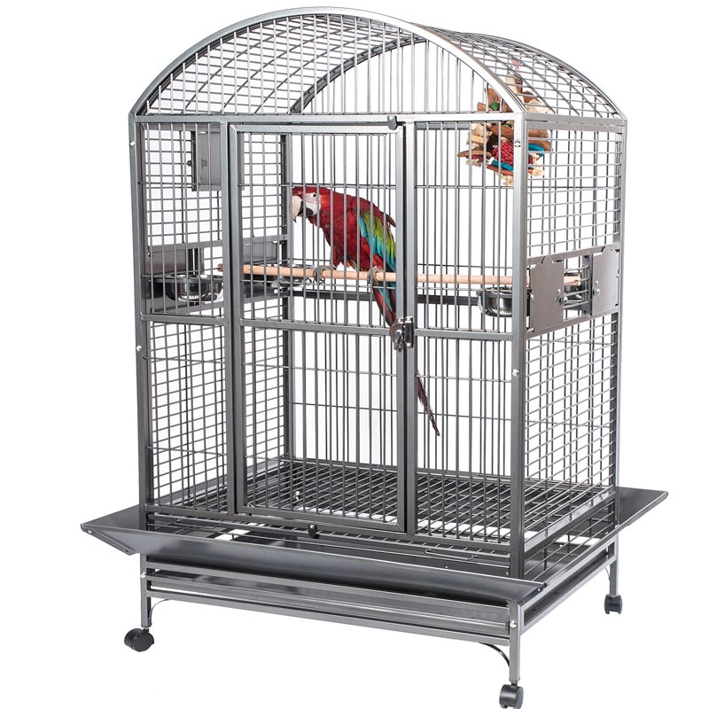 Full length perches for Rainforest Rio Grande Parrot Cage suitable for Cockatoos and Macaws