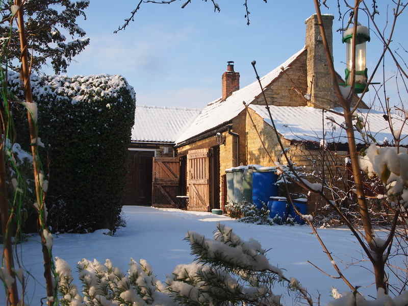 workshop in snow