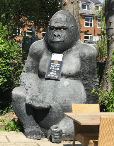 The Broadleys Gorilla