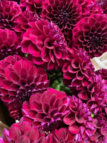 Autumn Clifden Arms 05