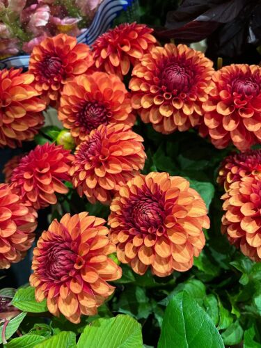 Autumn Clifden Arms 06