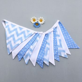 Baby Blue bunting 