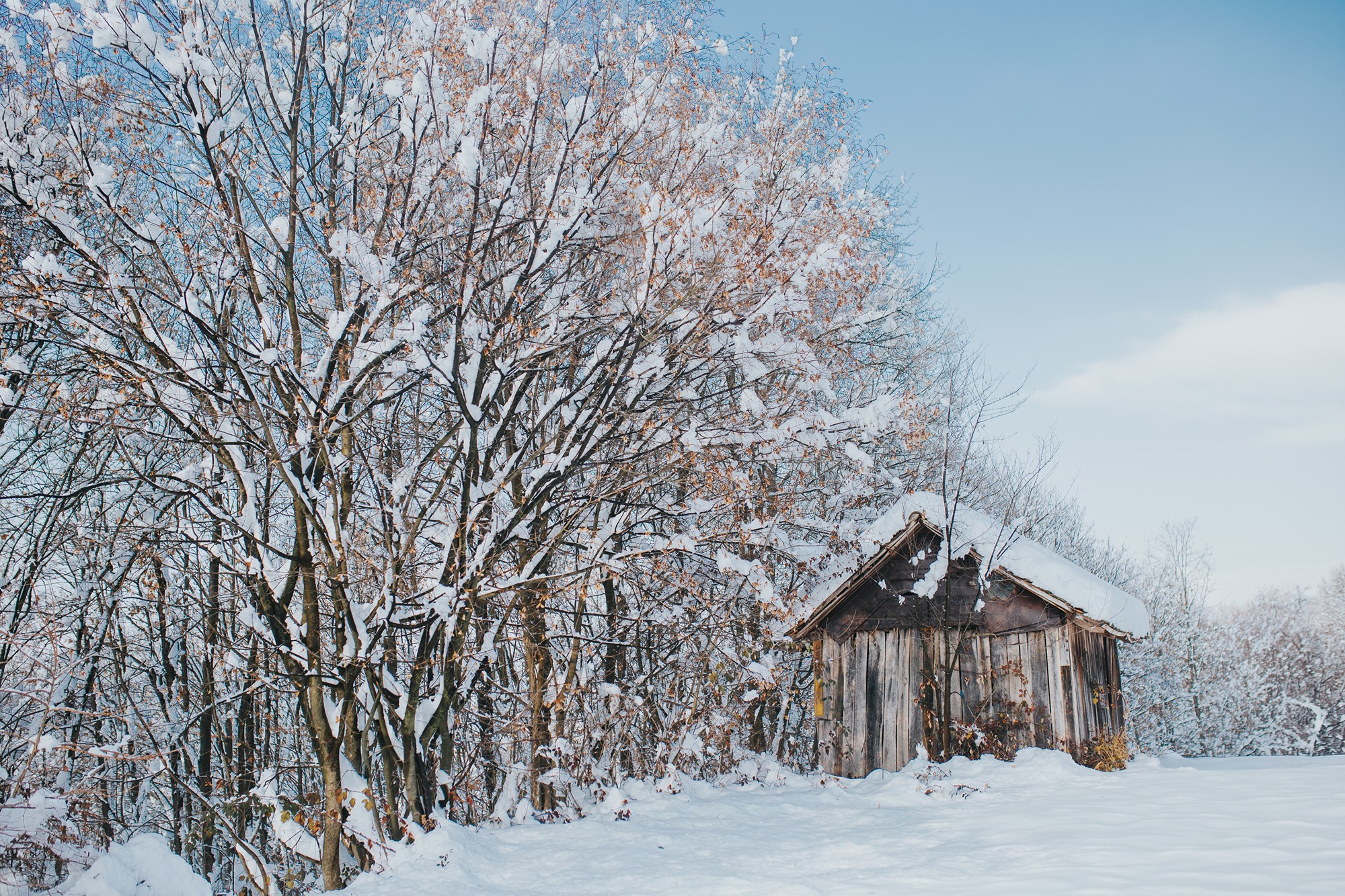 winter barn