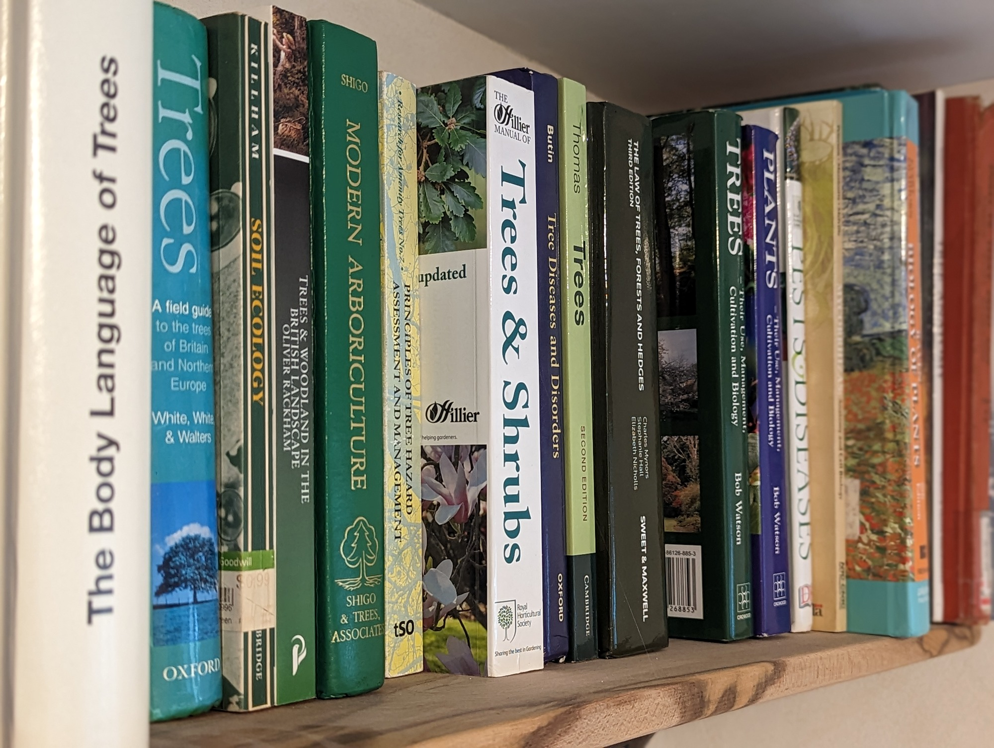 arboriculture consultancy