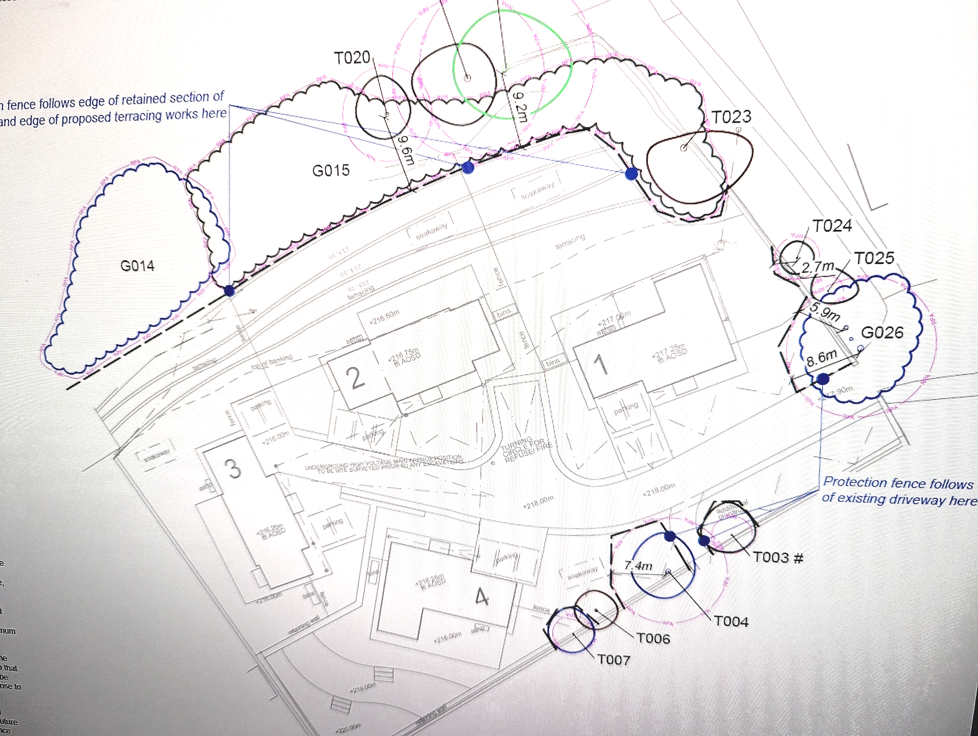 arboriculture survey