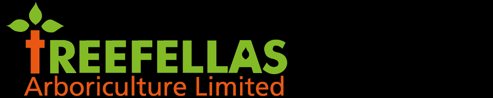    Treefellas, site logo.