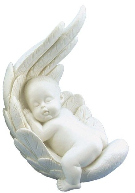 Baby in Angels Wing