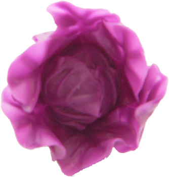 Purple Cabbage Ring