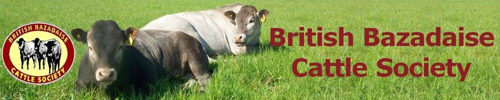 British Bazadaise Cattle Society, site logo.