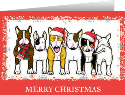 NEW!!!    2021  Christmas card designs - Pack of 10