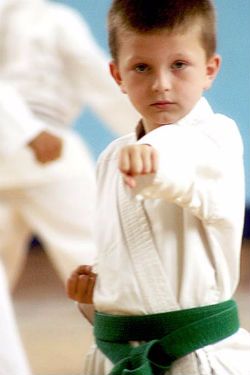 Children Learning Karate