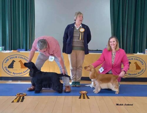 9b46607d-e00e-4c50-9153-a1807718a46b