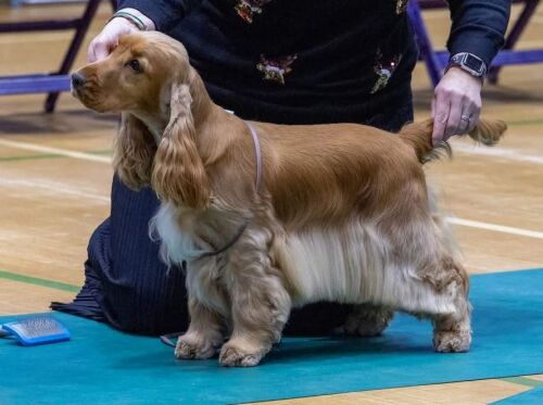 94479bb0-a5f0-4bd6-a73e-fae67f76bb9e