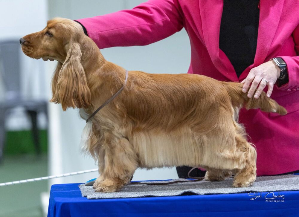 43095bd5-e78f-4206-8748-6f9640c09d3e