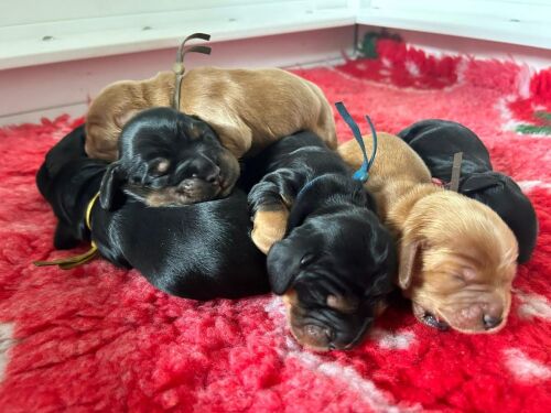 75a41a73-aca4-4108-aa82-7c5df67a0f9a