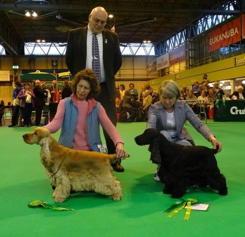 Crufts 2015 DCC RDCC