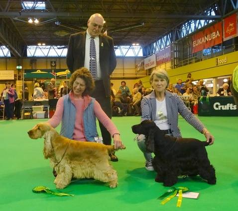 RolyDCC 2015 Crufts