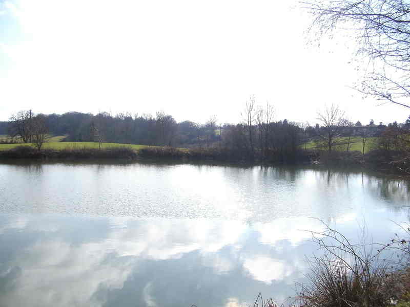 PICT4345 PICT4345