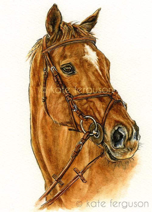 Watercolour & ink horse portrait