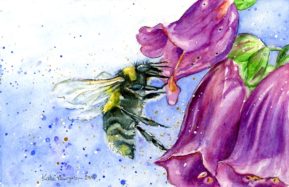 Bee on foxglove