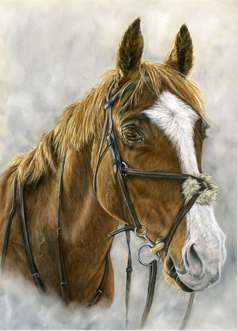 Pastels horse portrait