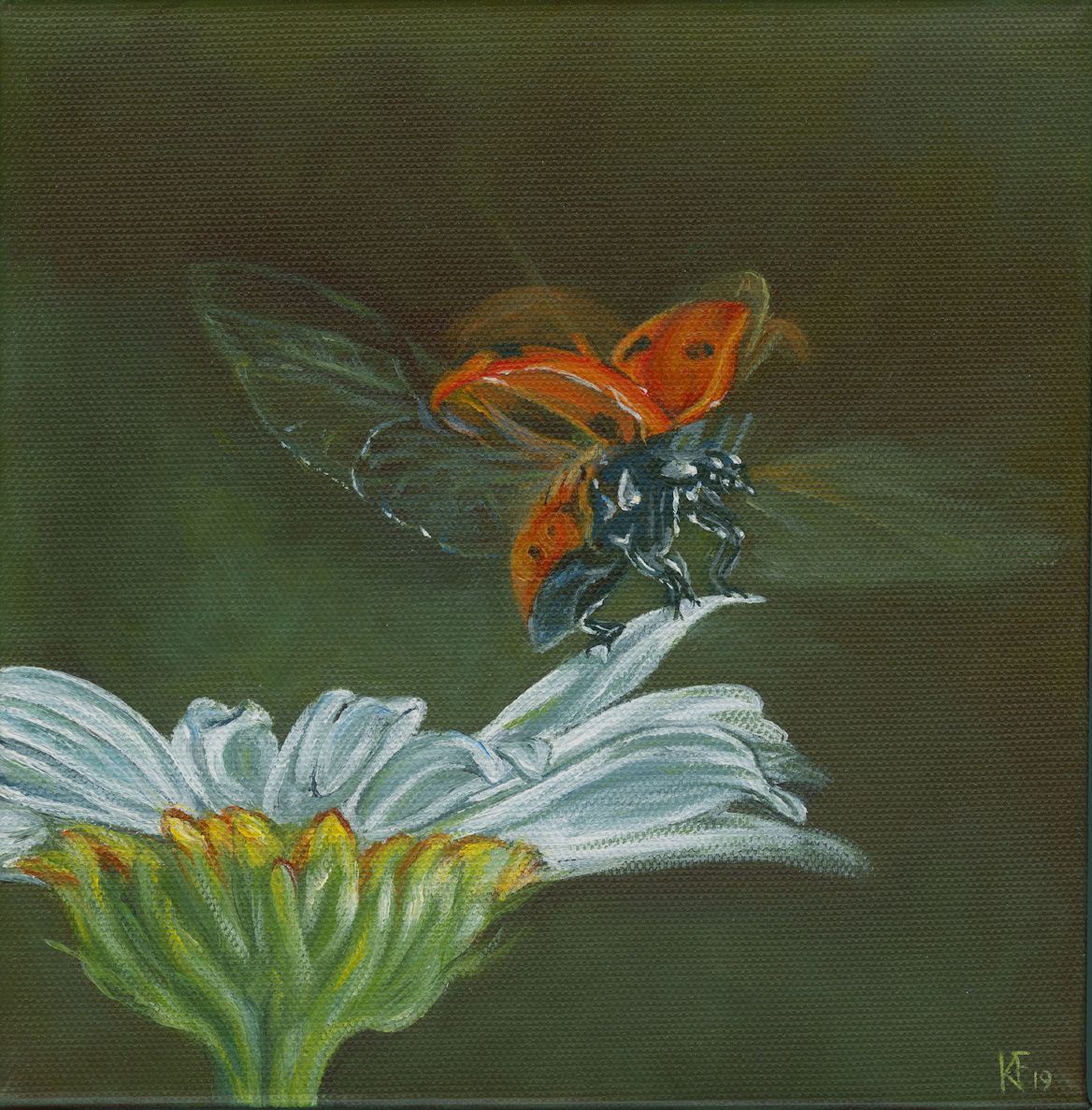 Painting of ladybird on white flower