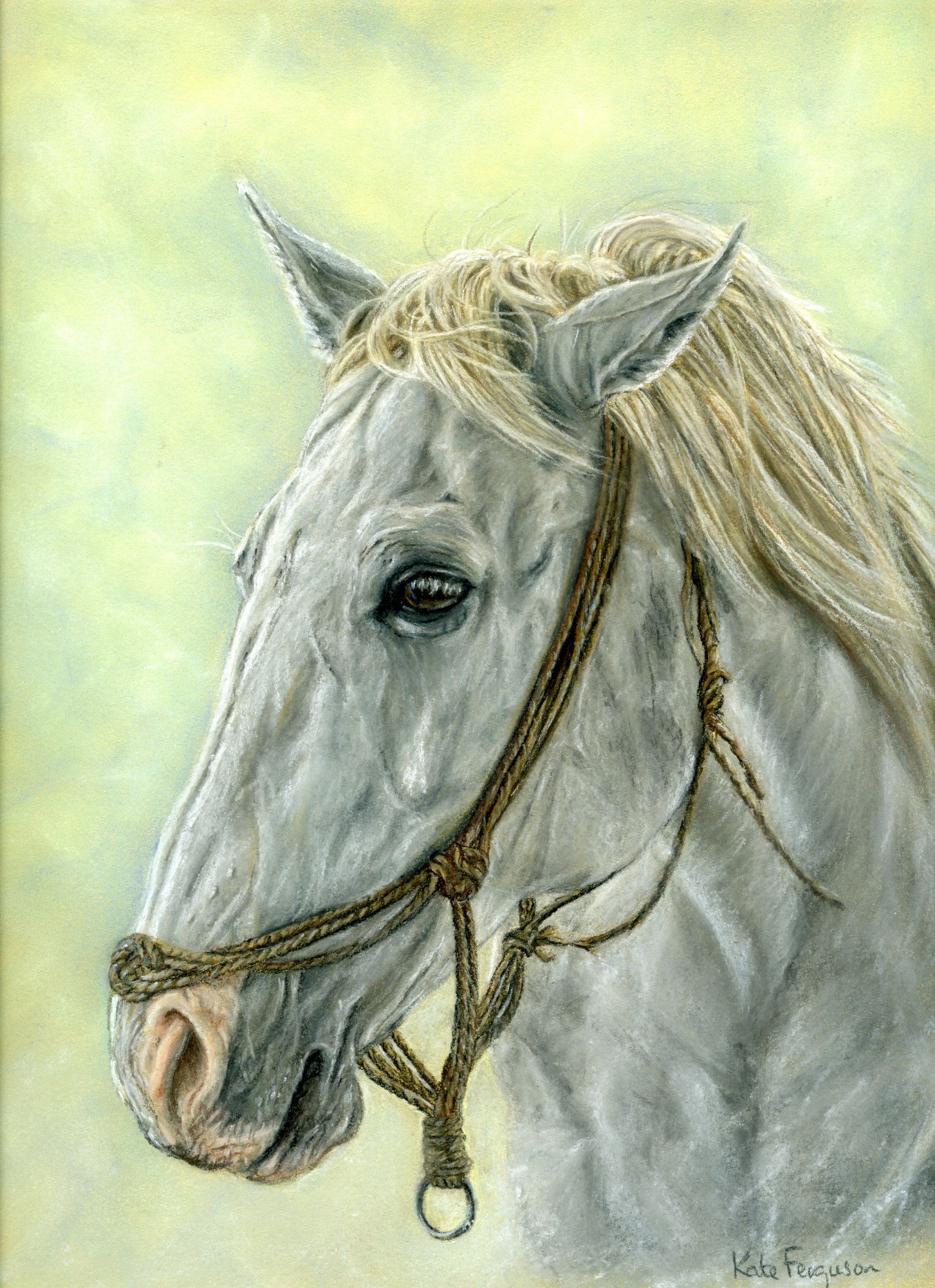 Pastels horse