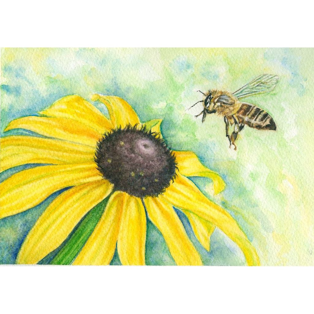Watercolour