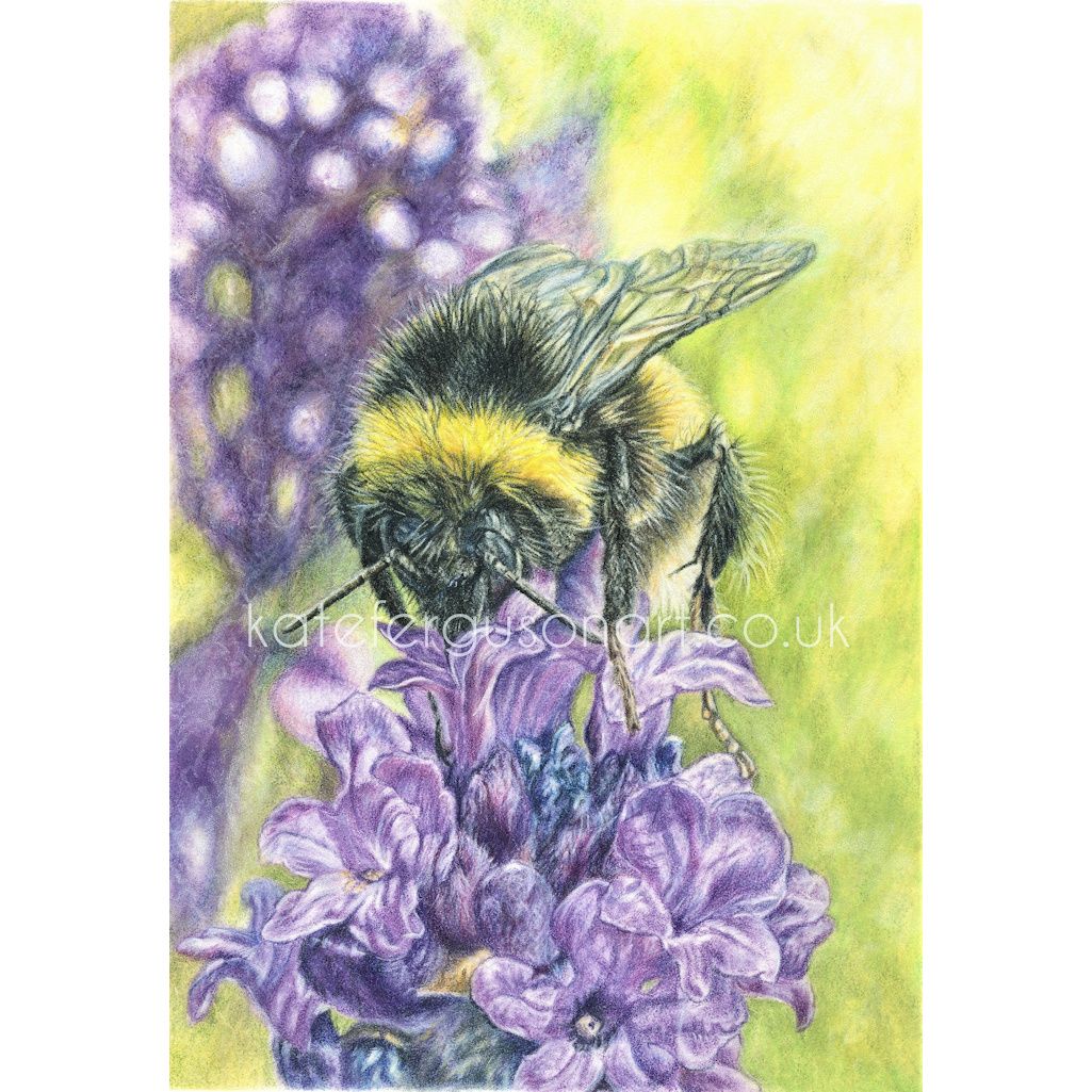 Coloured pencils